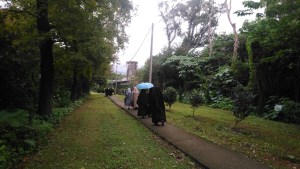 33,35,255,268.758087